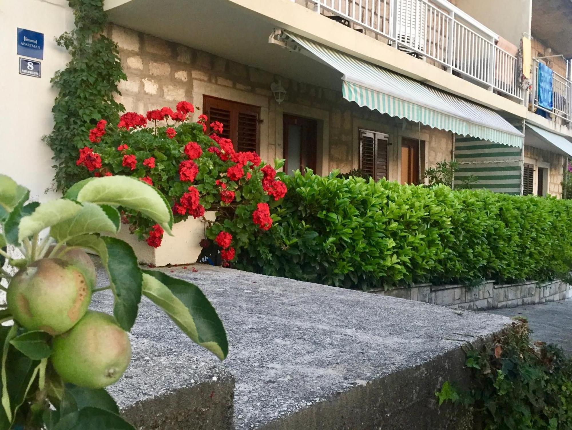 Apartments Villa Mila Cavtat Exterior foto